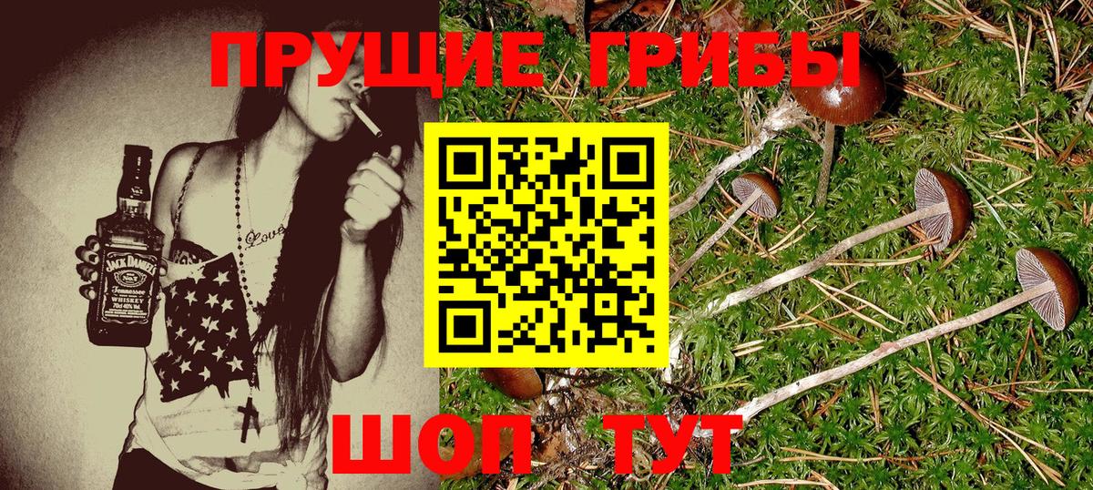 COCAIN  Вход с VPN  Меф МЯУ МЯУ кристаллы  Урюпинск  А ПВП СК   ТГК  Каннабис  ГАШ 