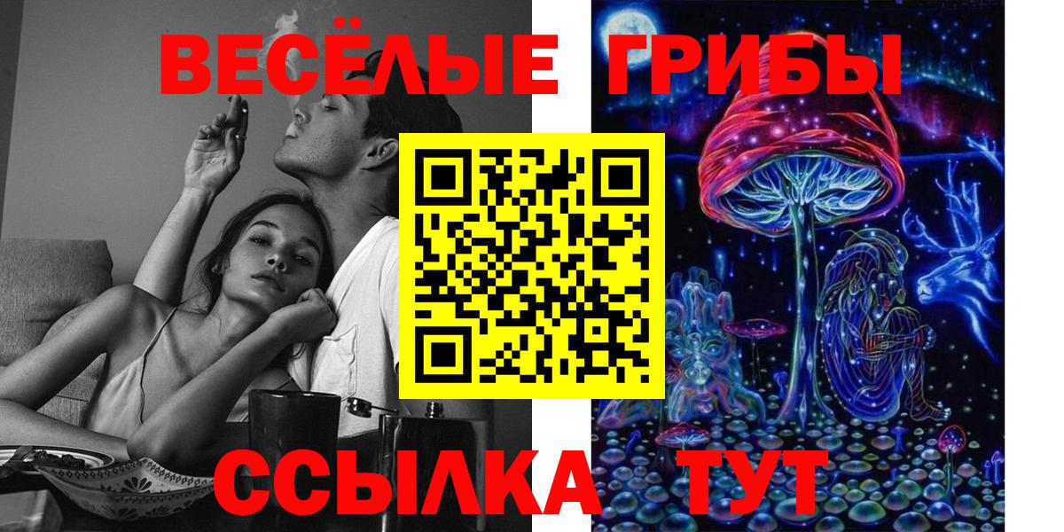 Галлюциногенные грибы Psilocybine cubensis Урюпинск