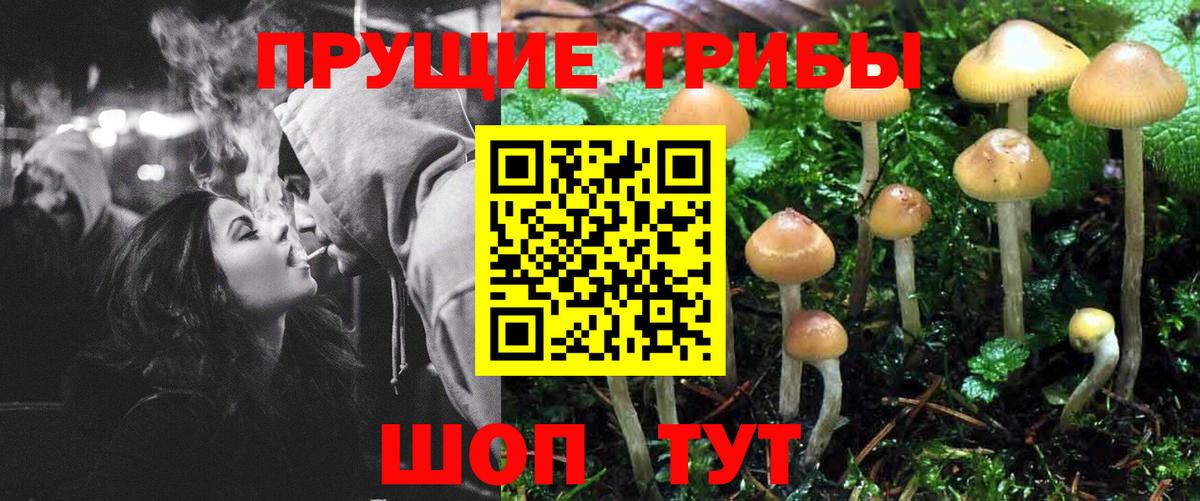 Урюпинск  Псилоцибиновые грибы Psilocybe  Вход с VPN 